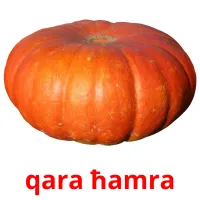 qara ħamra flashcards illustrate