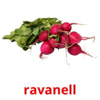 ravanell card for translate