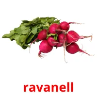 ravanell Tarjetas didacticas