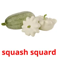 squash squard flashcards illustrate