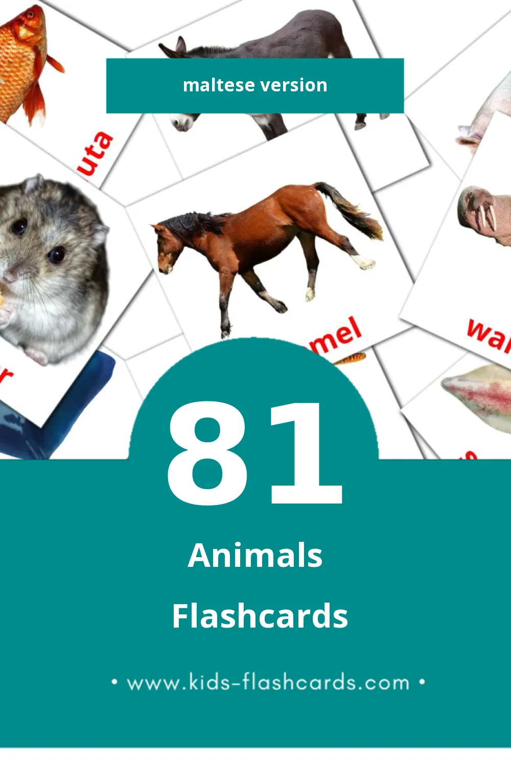 Visual Annimali Flashcards for Toddlers (81 cards in Maltese)