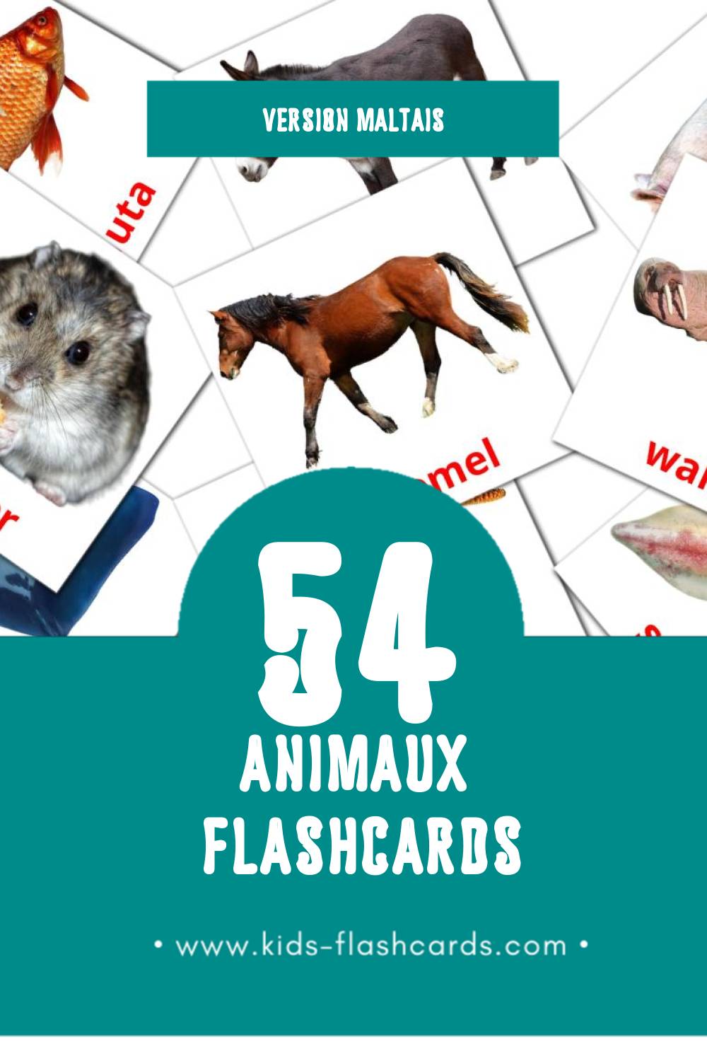 Flashcards Visual Annimali pour les tout-petits (25 cartes en Maltais)