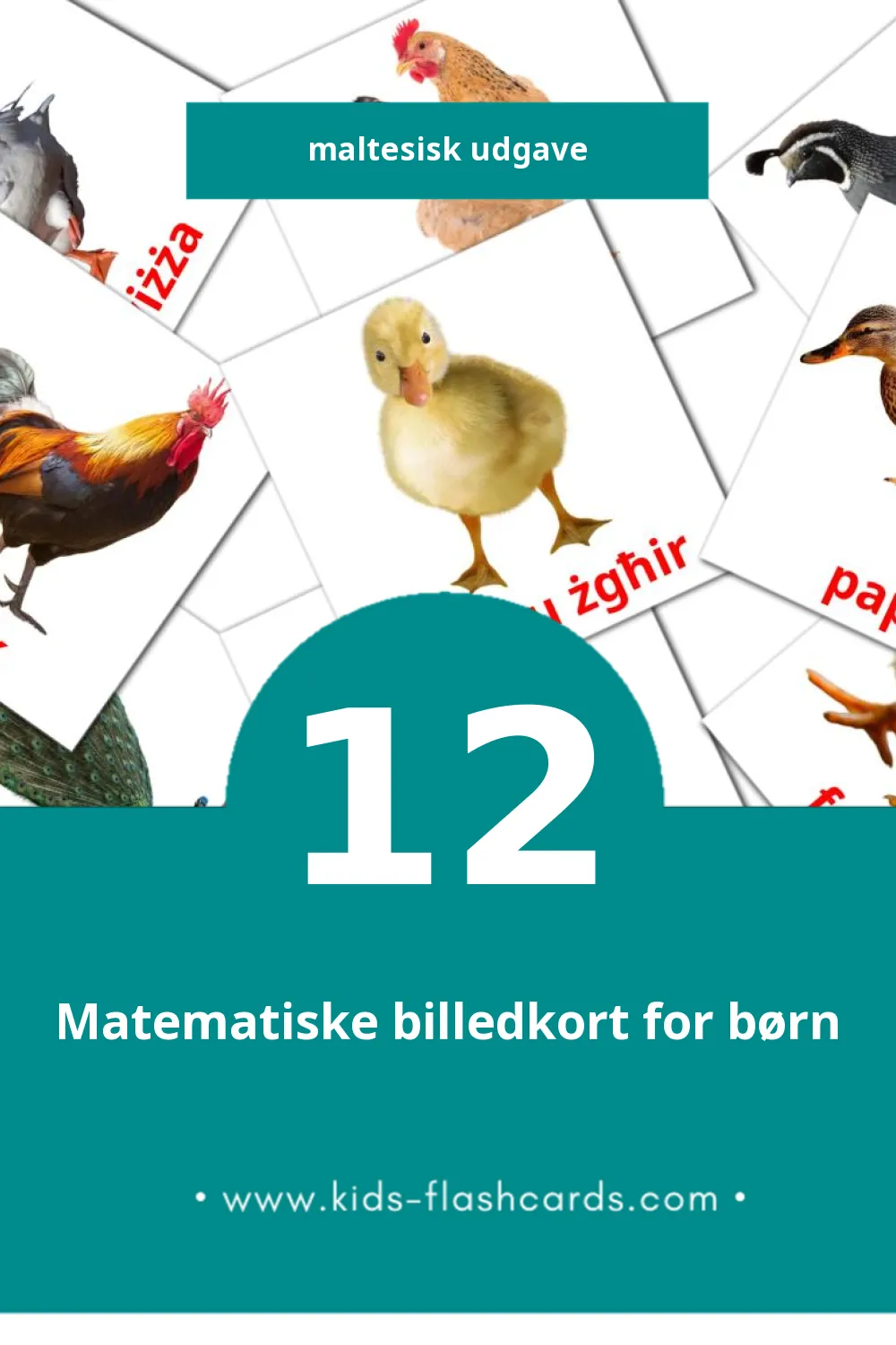 Visuelle billedkort for børn om Tjur til småbørn (12 kort på Maltesisk)