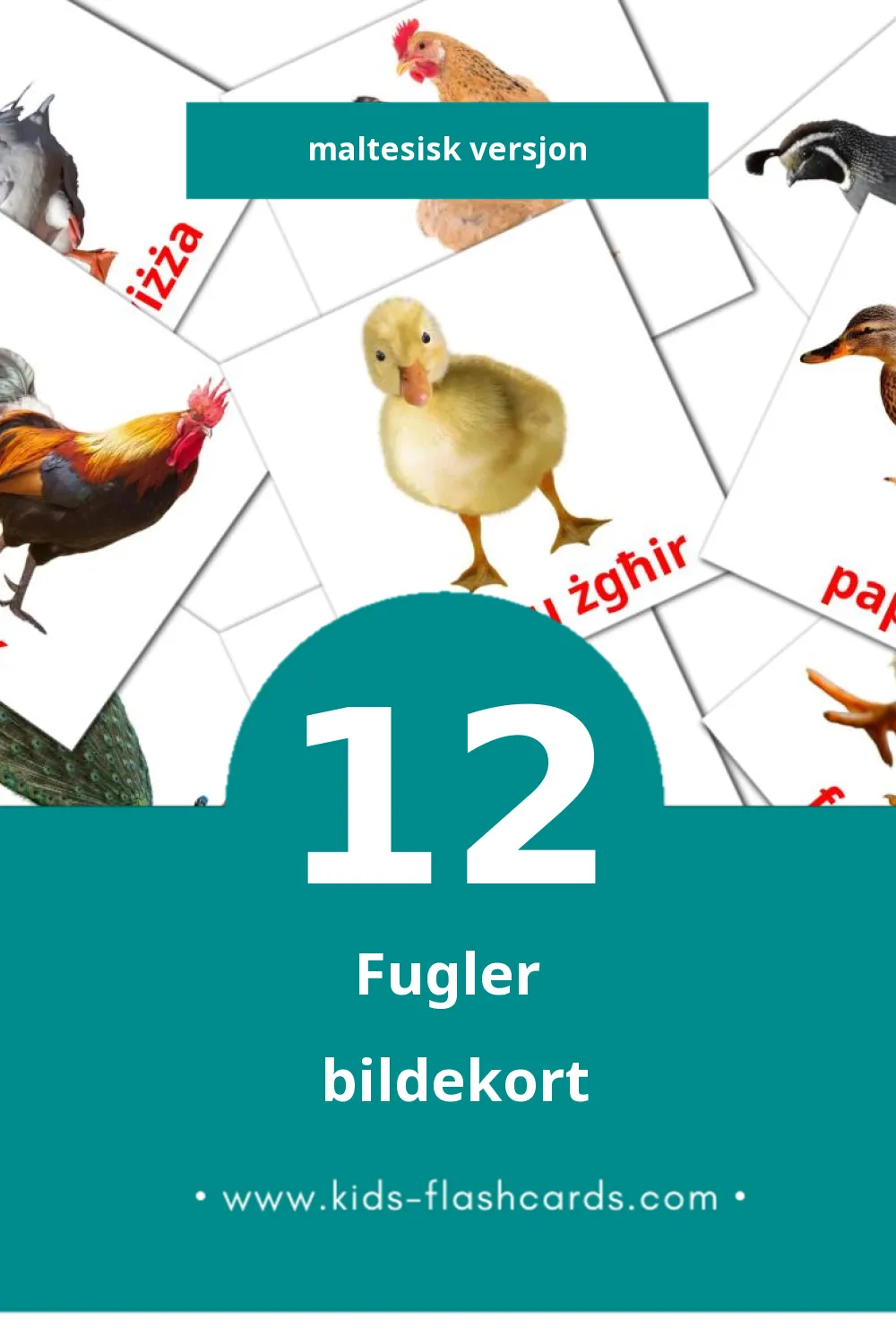 Visuelle Tjur bildekort for småbarn (12 kort på Maltesisk)