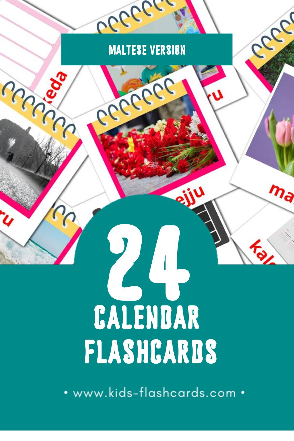 Visual Kalendarju Flashcards for Toddlers (24 cards in Maltese)