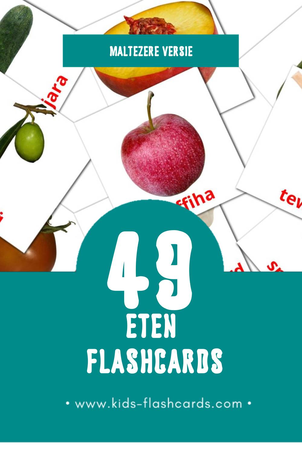 Visuele Ikel Flashcards voor Kleuters (49 kaarten in het Maltezer)