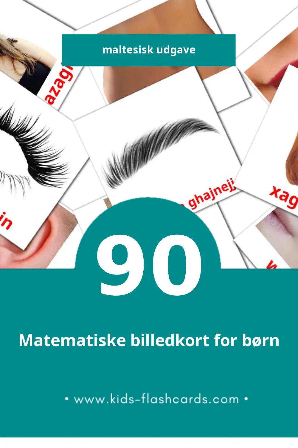 Visuelle billedkort for børn om Nies til småbørn (90 kort på Maltesisk)