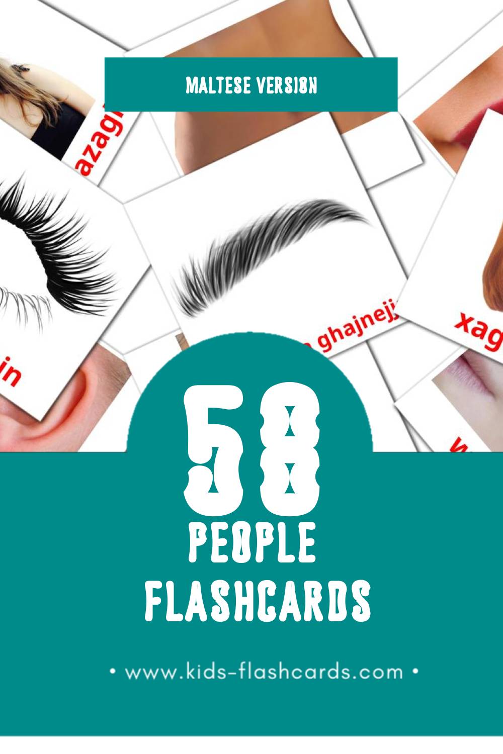 Visual Nies Flashcards for Toddlers (58 cards in Maltese)