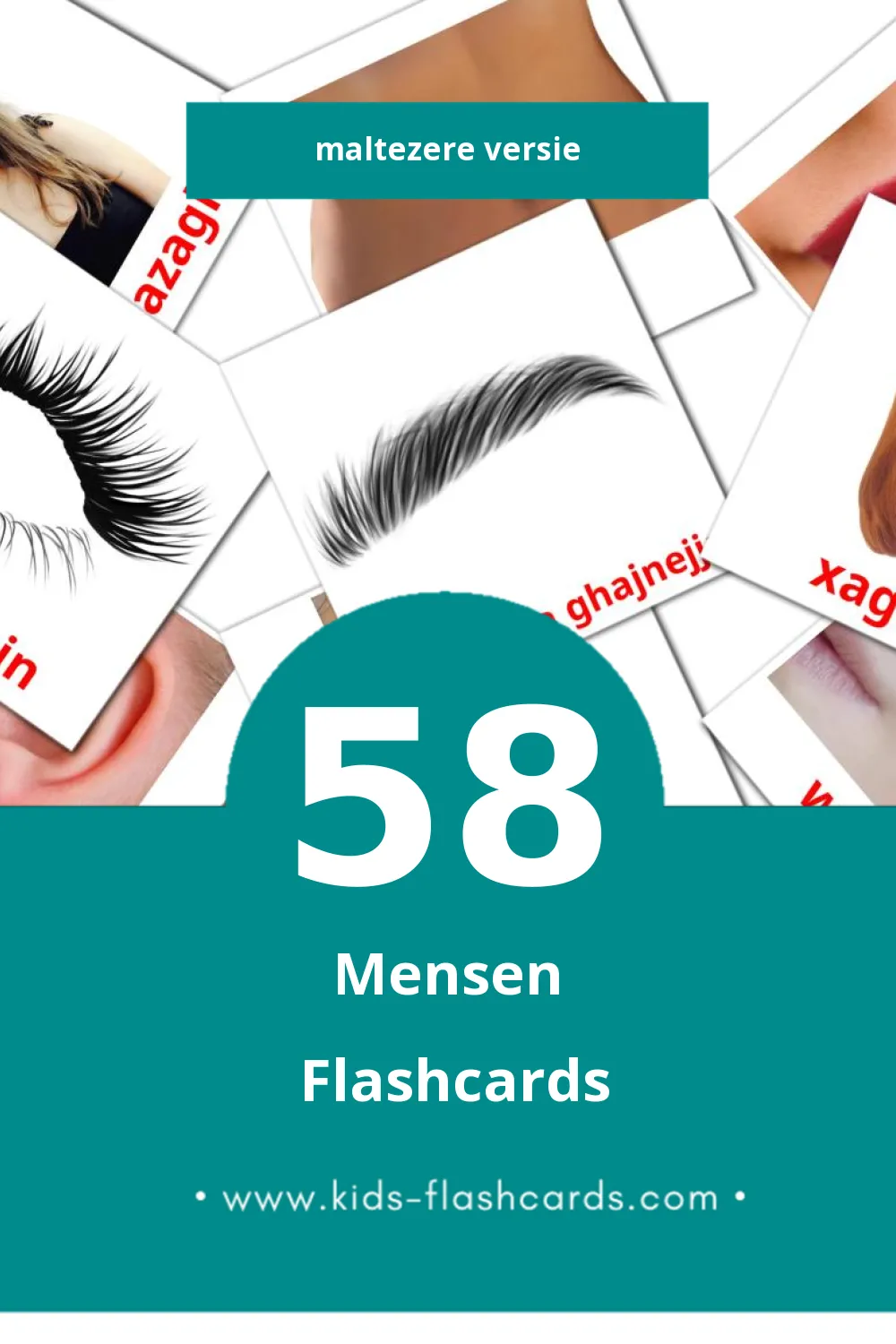 Visuele Nies Flashcards voor Kleuters (58 kaarten in het Maltezer)