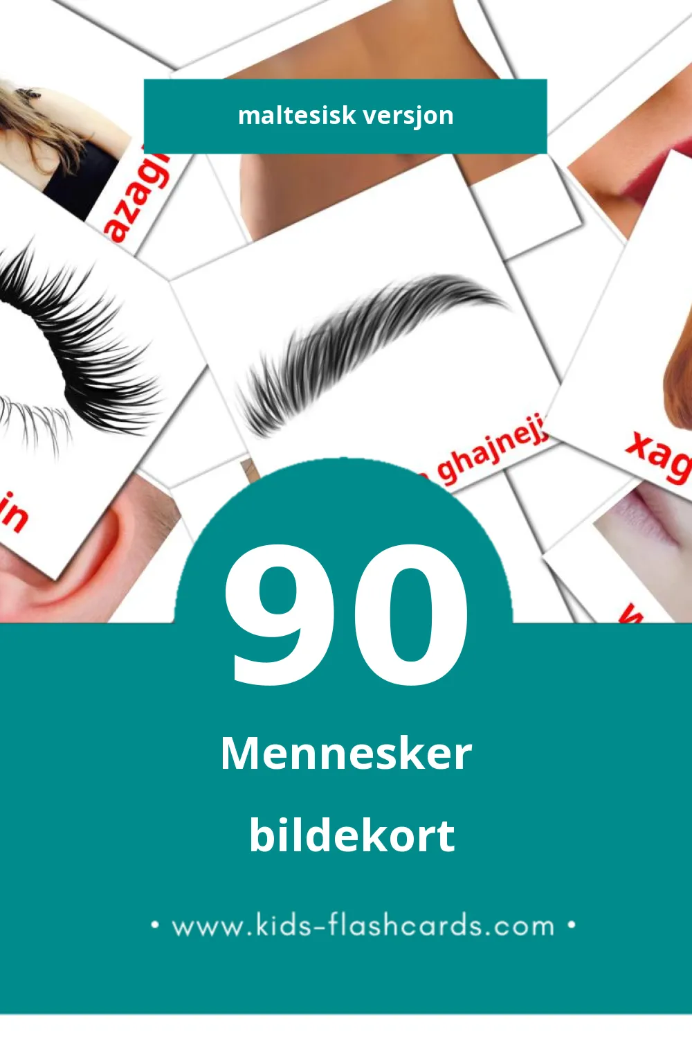 Visuelle Nies bildekort for småbarn (90 kort på Maltesisk)