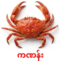 ကဏန်း карточки энциклопедических знаний