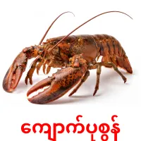 ကျောက်ပုစွန် карточки энциклопедических знаний