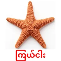 ကြယ်ငါး карточки энциклопедических знаний