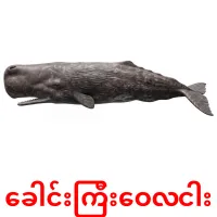 ခေါင်းကြီးဝေလငါး карточки энциклопедических знаний
