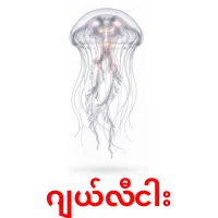 ဂျယ်လီငါး карточки энциклопедических знаний