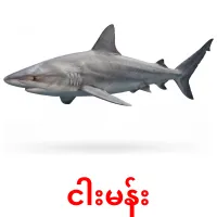 ငါးမန်း карточки энциклопедических знаний