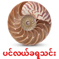 ပင်လယ်ခရုသင်း карточки энциклопедических знаний