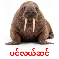 ပင်လယ်ဆင် карточки энциклопедических знаний