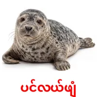 ပင်လယ်ဖျံ карточки энциклопедических знаний