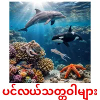 ပင်လယ်သတ္တဝါများ карточки энциклопедических знаний