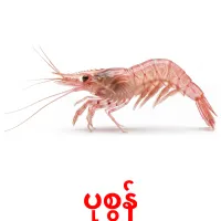 ပုစွန် карточки энциклопедических знаний