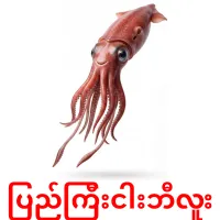 ပြည်ကြီးငါးဘီလူး карточки энциклопедических знаний