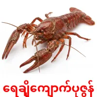 ရေချိုကျောက်ပုဇွန် карточки энциклопедических знаний
