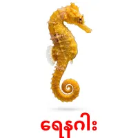 ရေနဂါး карточки энциклопедических знаний