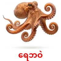 ရေဘဝဲ карточки энциклопедических знаний