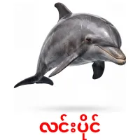 လင်းပိုင် карточки энциклопедических знаний
