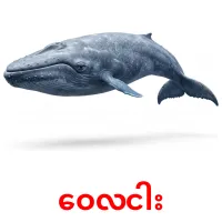 ဝေလငါး карточки энциклопедических знаний