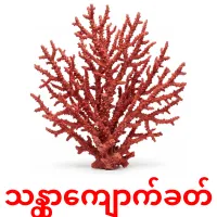 သန္တာကျောက်ခတ် карточки энциклопедических знаний
