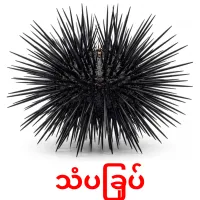 သံပခြုပ် карточки энциклопедических знаний