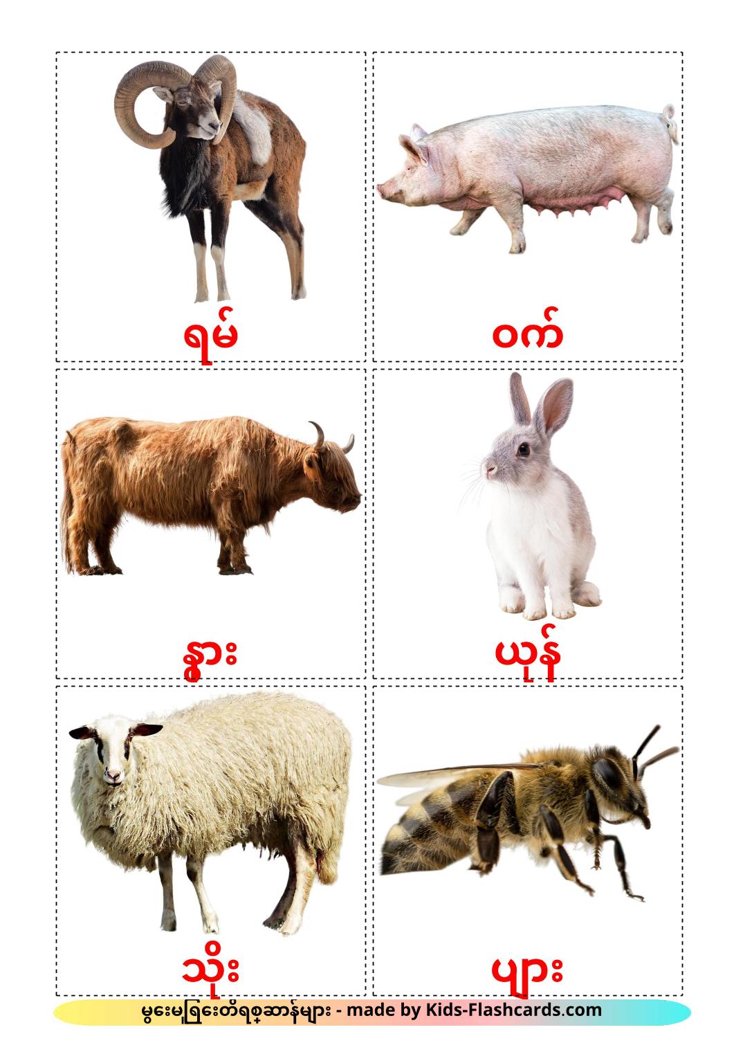 Animali da fattoria - 15 flashcards birmano stampabili gratuitamente