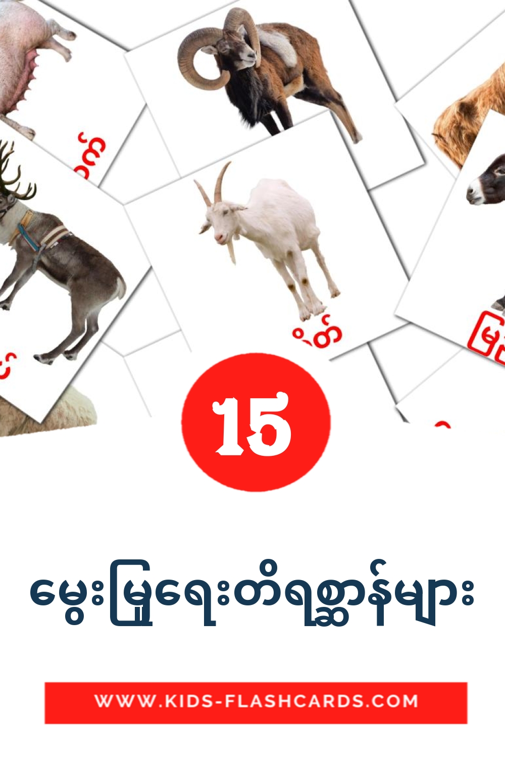 15 tarjetas didacticas de မွေးမြူရေးတိရစ္ဆာန်များ para el jardín de infancia en birmano