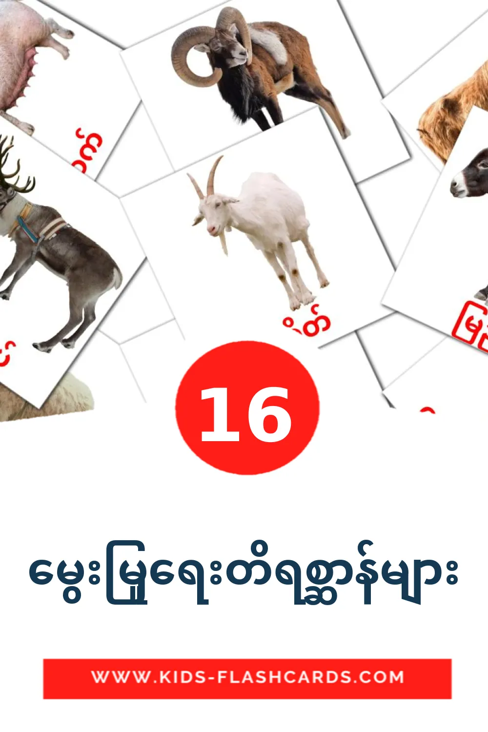 မွေးမြူရေးတိရစ္ဆာန်များ на бирманском для Детского Сада (16 карточек)