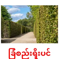 ခြံစည်းရိုးပင် ansichtkaarten