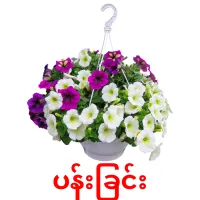 ပန်းခြင်း ansichtkaarten