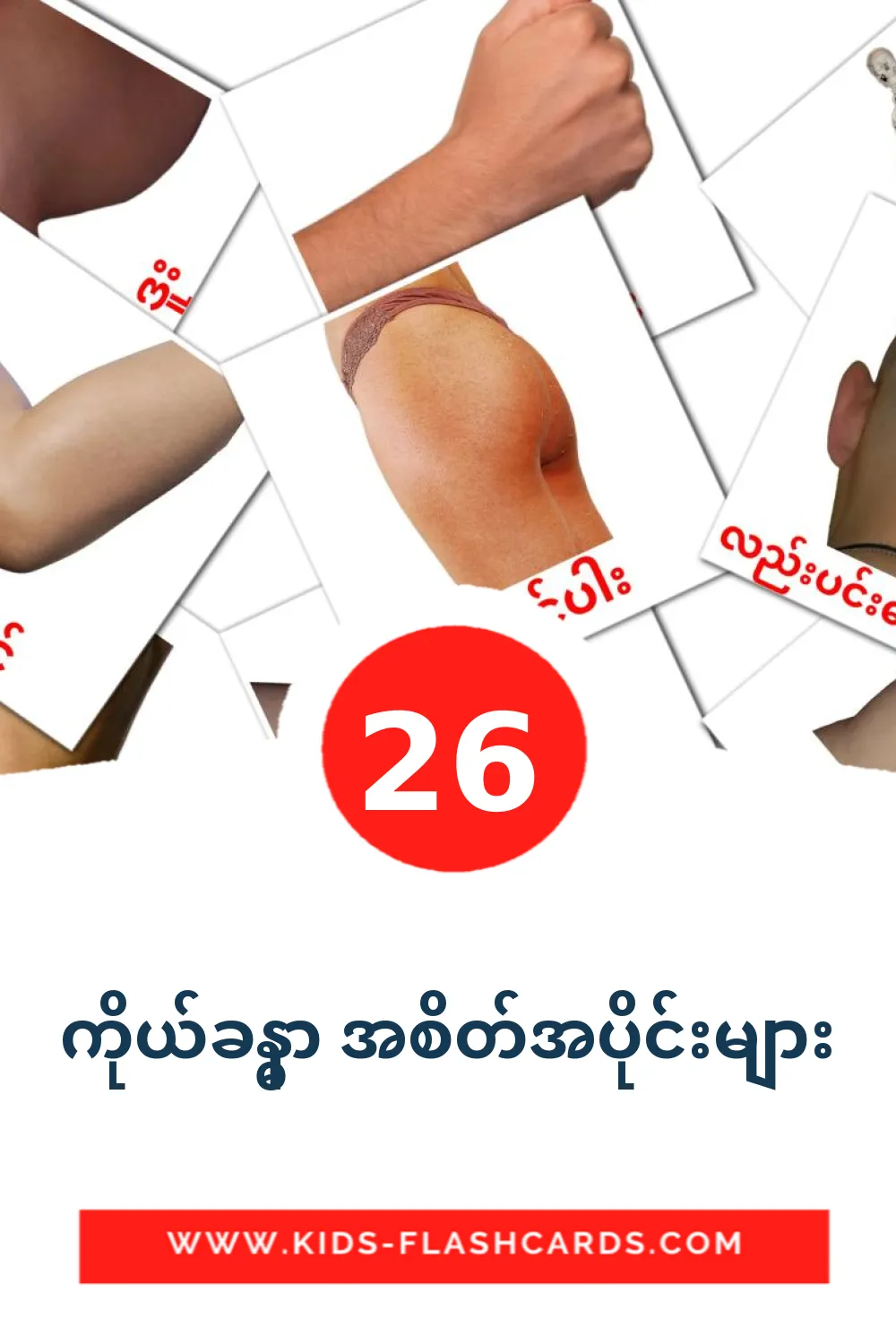 26 ကိုယ်ခန္ဓာ အစိတ်အပိုင်းများ fotokaarten voor kleuters in het birmese