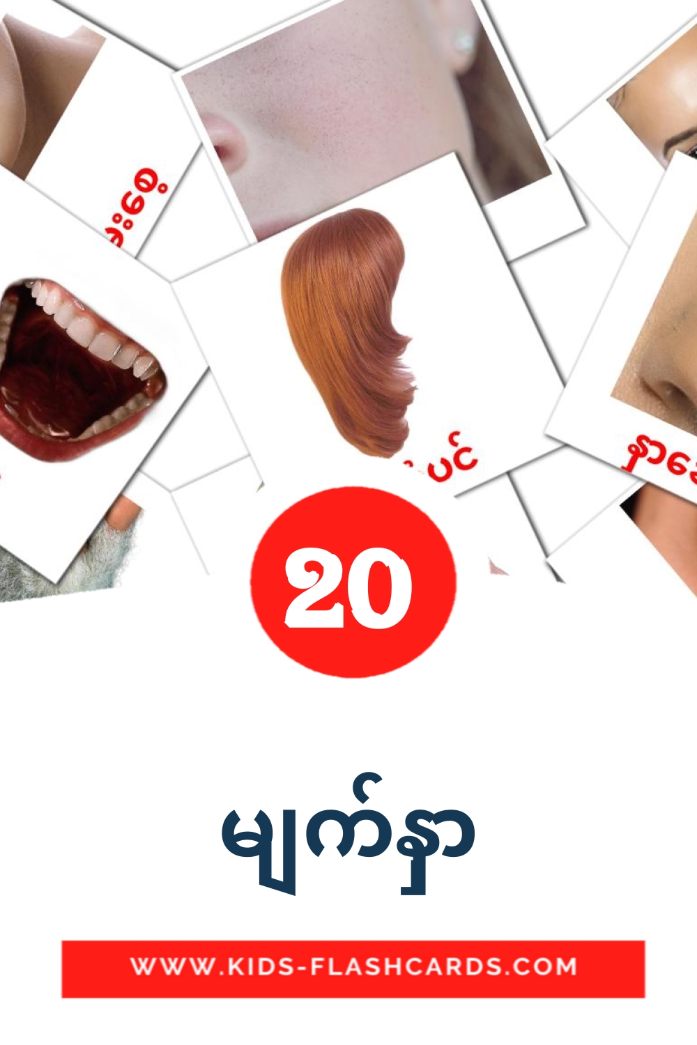 20 tarjetas didacticas de မျက်နှာ para el jardín de infancia en birmano