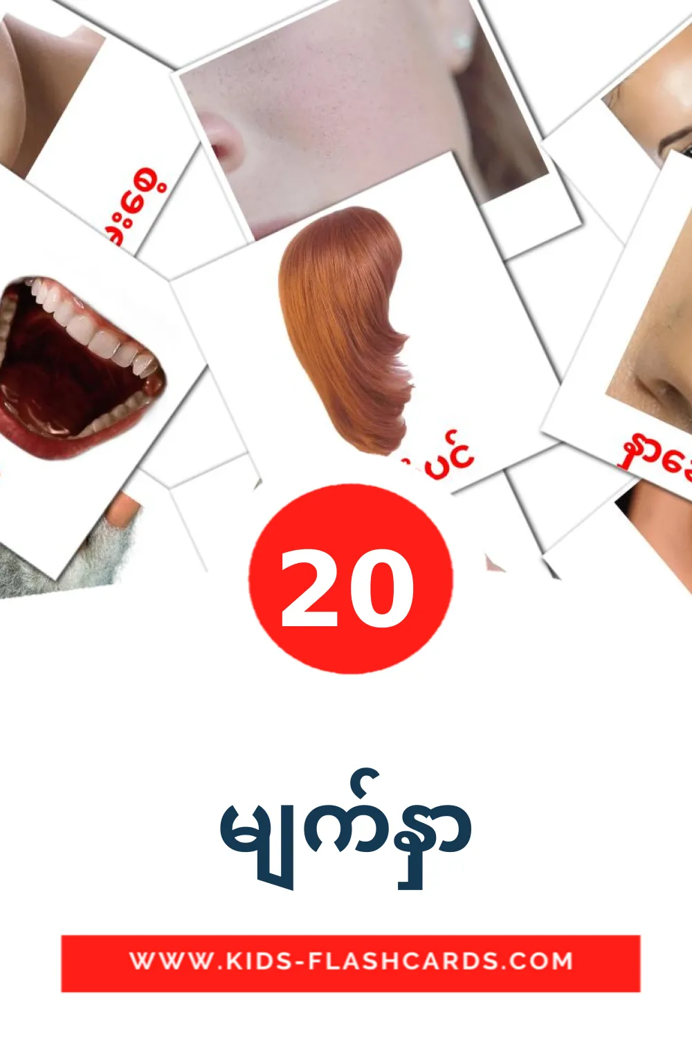 20 မျက်နှာ fotokaarten voor kleuters in het birmese