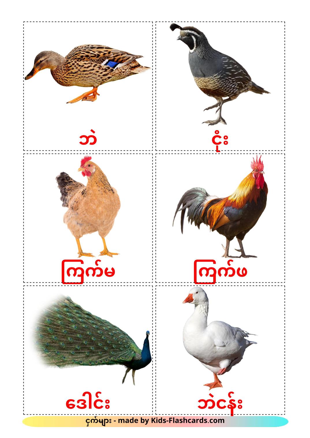 Farm birds - 11 Free Printable burmese Flashcards 