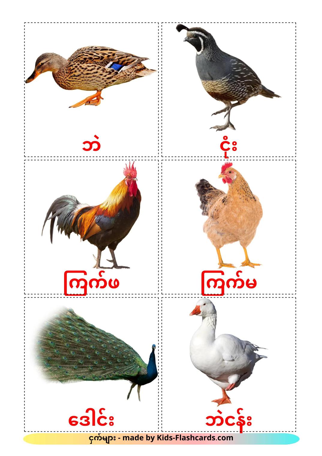 Farm birds - 12 Free Printable burmese Flashcards