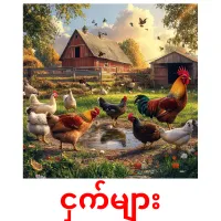 ငှက်များ picture flashcards