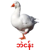 ဘဲငန်း picture flashcards