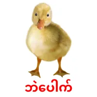 ဘဲပေါက် picture flashcards