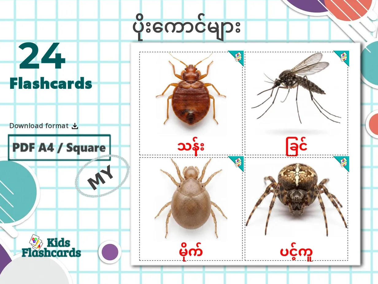 24 Printable Insects Flashcards in Burmese (Free PDF)