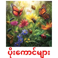 ပိုးကောင်များ picture flashcards