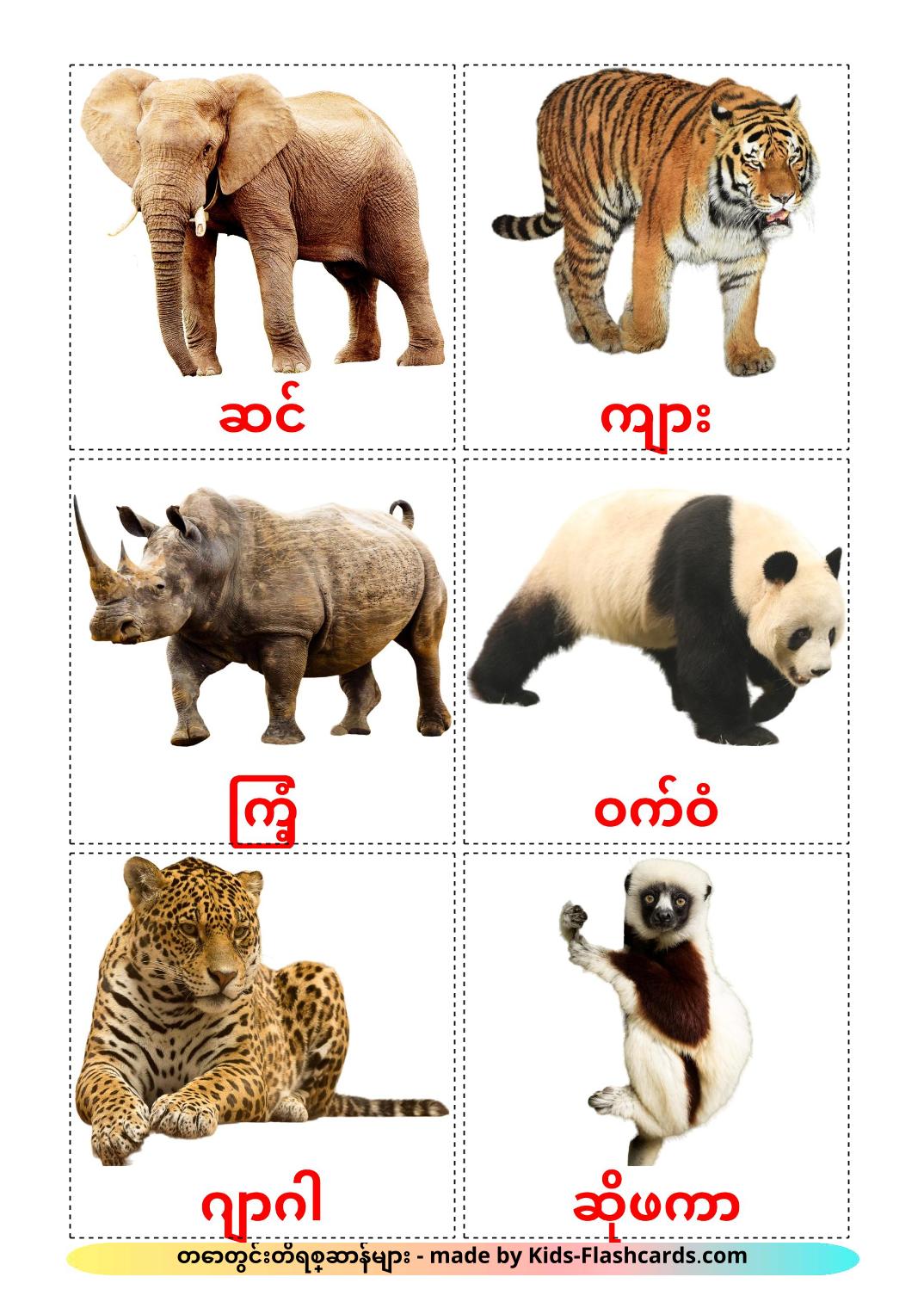 Jungle animals - 21 Free Printable burmese Flashcards 