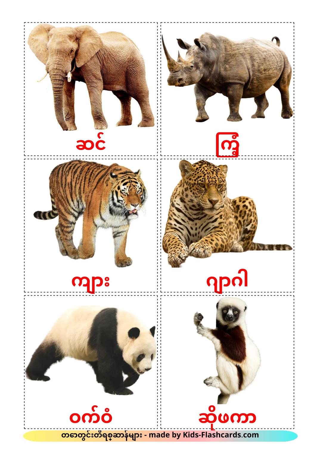 Jungle animals - 22 Free Printable burmese Flashcards 